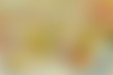 Un cuadro de Van Gogh se vende por 62,7 millones de dólares en subasta en Nueva York