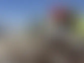 Los inmigrantes que sostenían la construcción, provocan el caos en ese sector