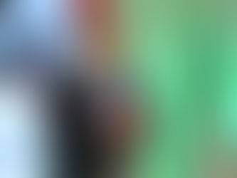 Leonel: “Estado haitiano colapsó”; debemos proteger la frontera dominicana