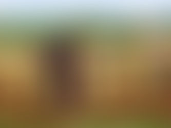 La fascinante China rural