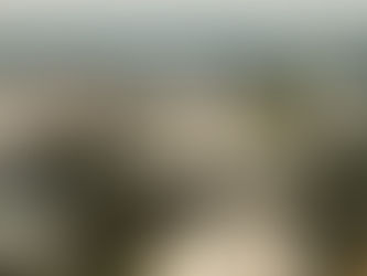 Final de ciudadanía por nacimiento en EEUU es inconstitucional