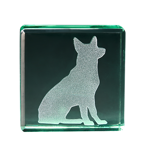 201210_Petmento_5036_transparent.png