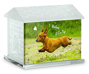 Small_Dog_House_rigth_facing (fly dog).png