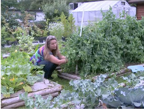 tam picking peas.jpeg