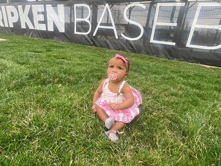 Top Activities to Enjoy While Visiting the Ripken Experience Aberdeen for a Baseball Tournament