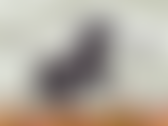 Un cuento taoísta para reflexionar