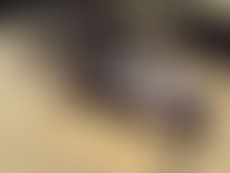 定期健診のお知らせ