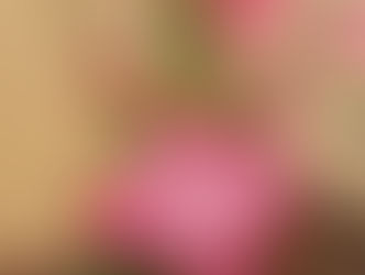 מבנה הנפש בפילוסופיה הסינית