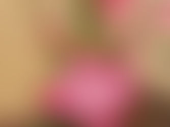 מבנה הנפש בפילוסופיה הסינית