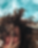 Untitled design (3).png
