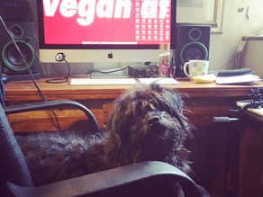 Dog Day Afternoons