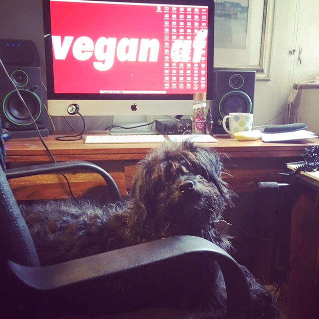 bring your dog to work