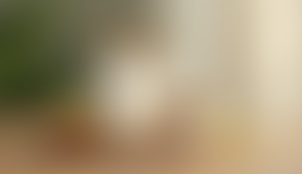 Discovering UK Natural Skincare Options: A Journey to Gentle, Ethical Beauty