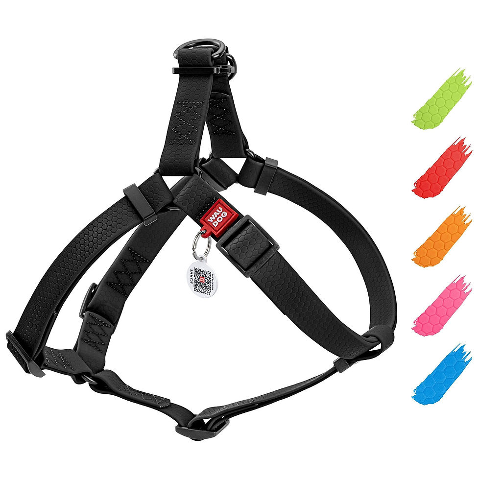 Thumbnail: Black Waterproof Dog Harness Adjustable for Small Dogs S Size 1622 inch