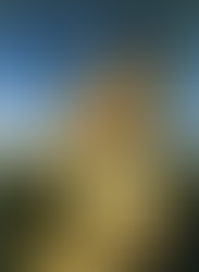 Flandrin, Polytès, fils de Priam, observant les mouvements des Grecs vers Troie, 1834