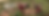 RDF Banner -01.png