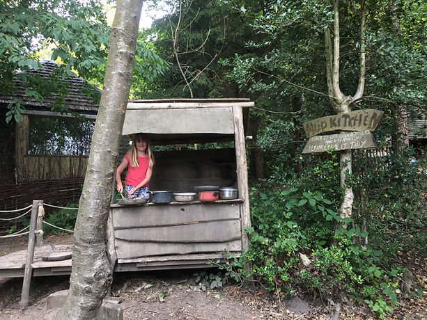 Wilderness Wood, Uckfield, East Sussex, Play area, low cost, place to visit Sussex, forest