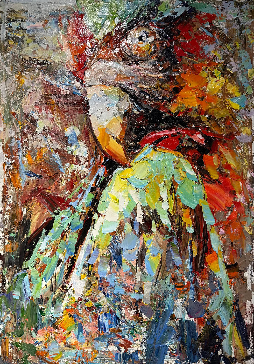 The Colorful World of Parrots 彩鹦之舞