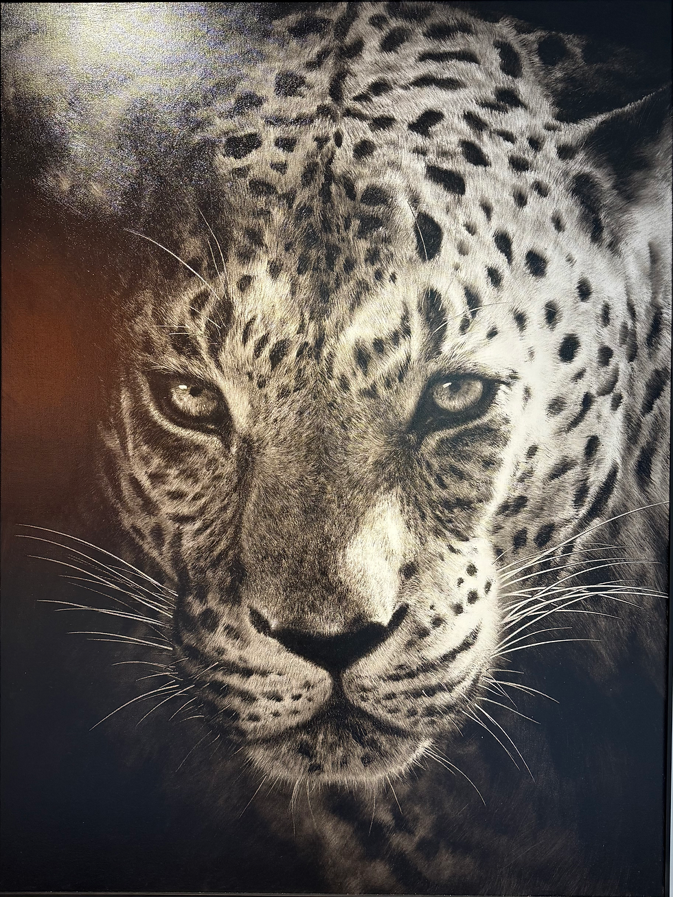 Savage Beauty:The Leopard | 野性之美: 豹纹