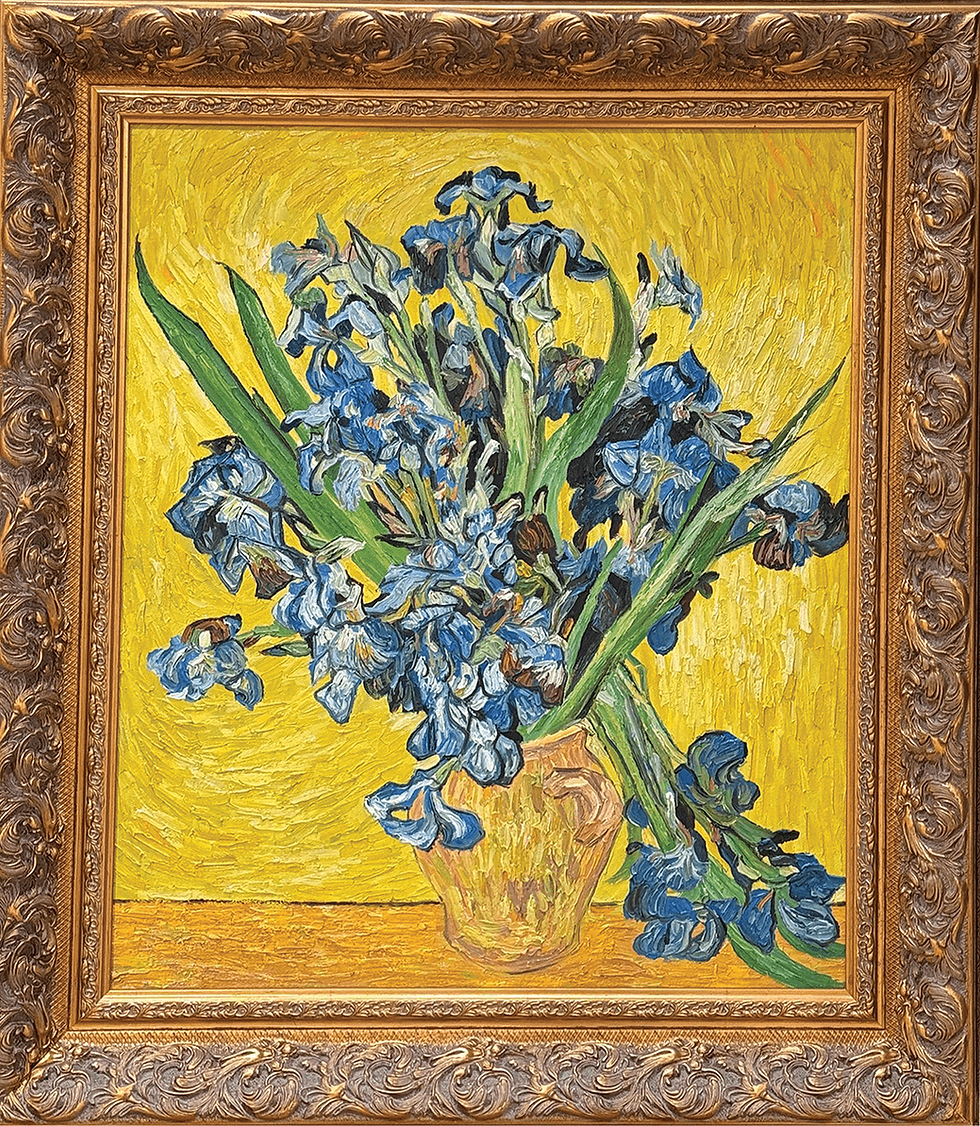 Irises 鸢尾花 Vincent Van Gogh