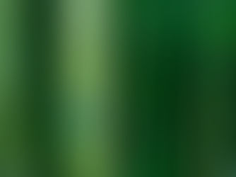 Fabricación Películas Electrospun Reforzadas con Nanofibras de Celulosa de Bambú Chileno