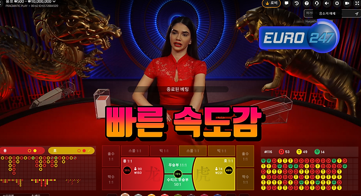용호게임진행