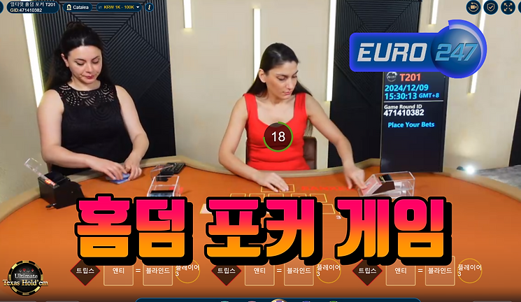 홀덤