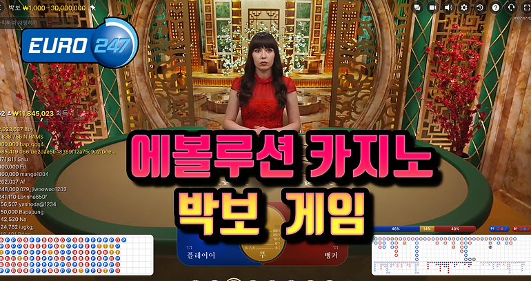박보 게임