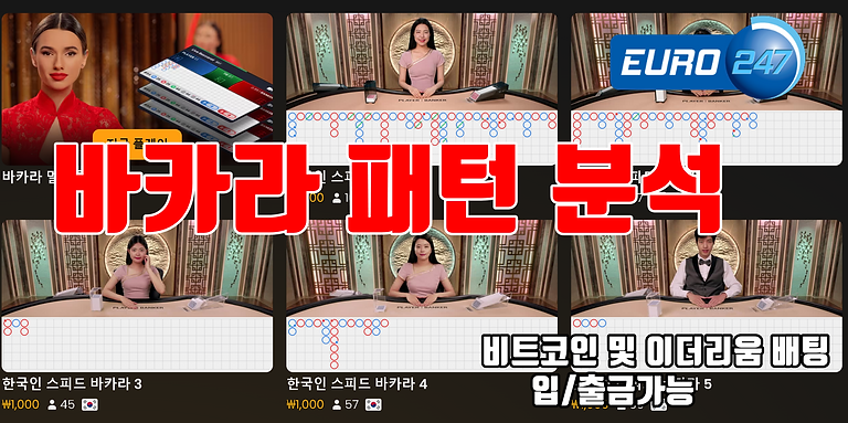 바카라 패턴분석