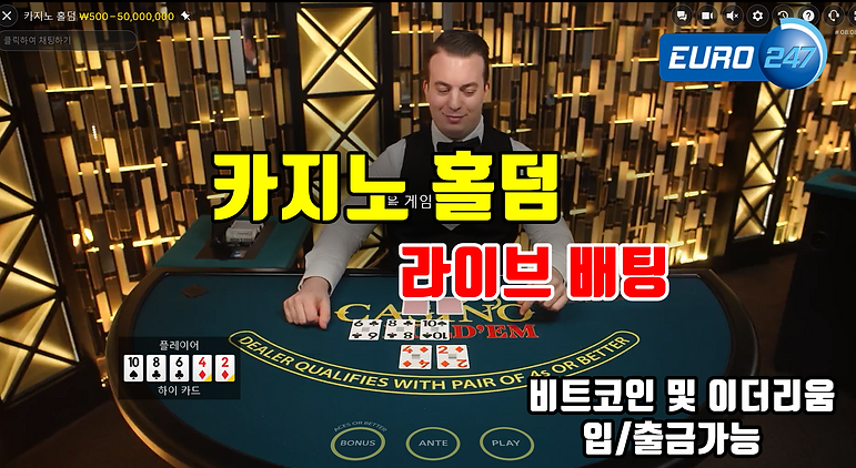 카지노 홀덤