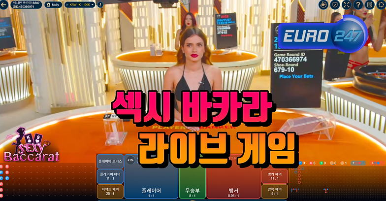 바카라