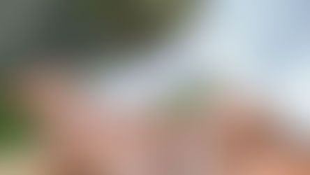 6 Useful Emotion Regulation Strategies to Cultivate in Our Lives