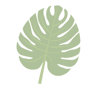 tours-la-belgicana-web-cenote-hoja.png