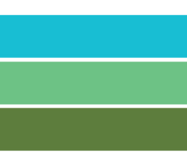 tours-la-belgicana-web-cenote-franjas.png