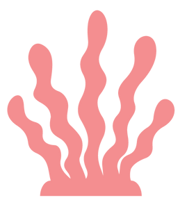 tours-la-belgicana-web-algas-snorkel.png