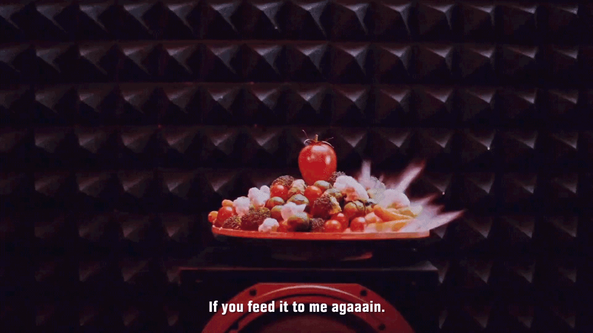 4.gif