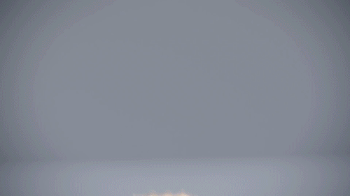 2rabchick.gif