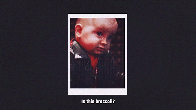 5.gif