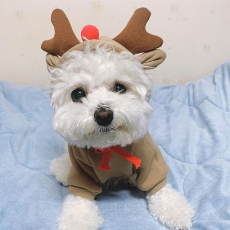 Thumbnail: Warm Dog Sweater Christmas Elk Costume Drawstring Hooded Sweatshirt For Small & 