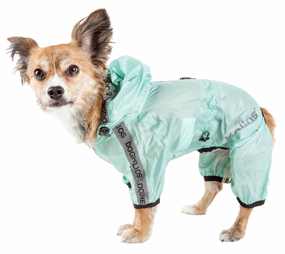 Thumbnail: Dog Helios 'Torrential Shield' Waterproof Multi-Adjustable Full Bodied Pet Dog W