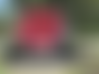 Descubra Pomerode: E o que fazer nesta maravilhosa cidade mais Alemã de Santa Catarina