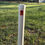 Thumbnail: Dissembler PVC Standard