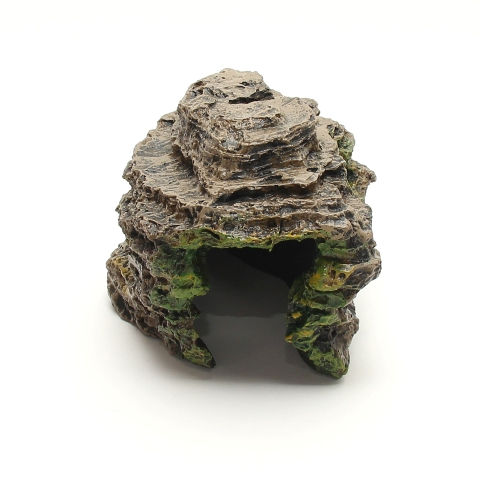 Miniatura: Fragata Ornamentos - Rocha de Ciclideos 17x12x12 cm