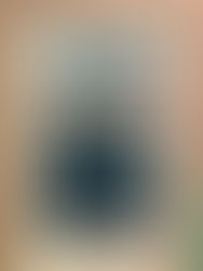 Hokusai Exhibit at Dupage - Chicago