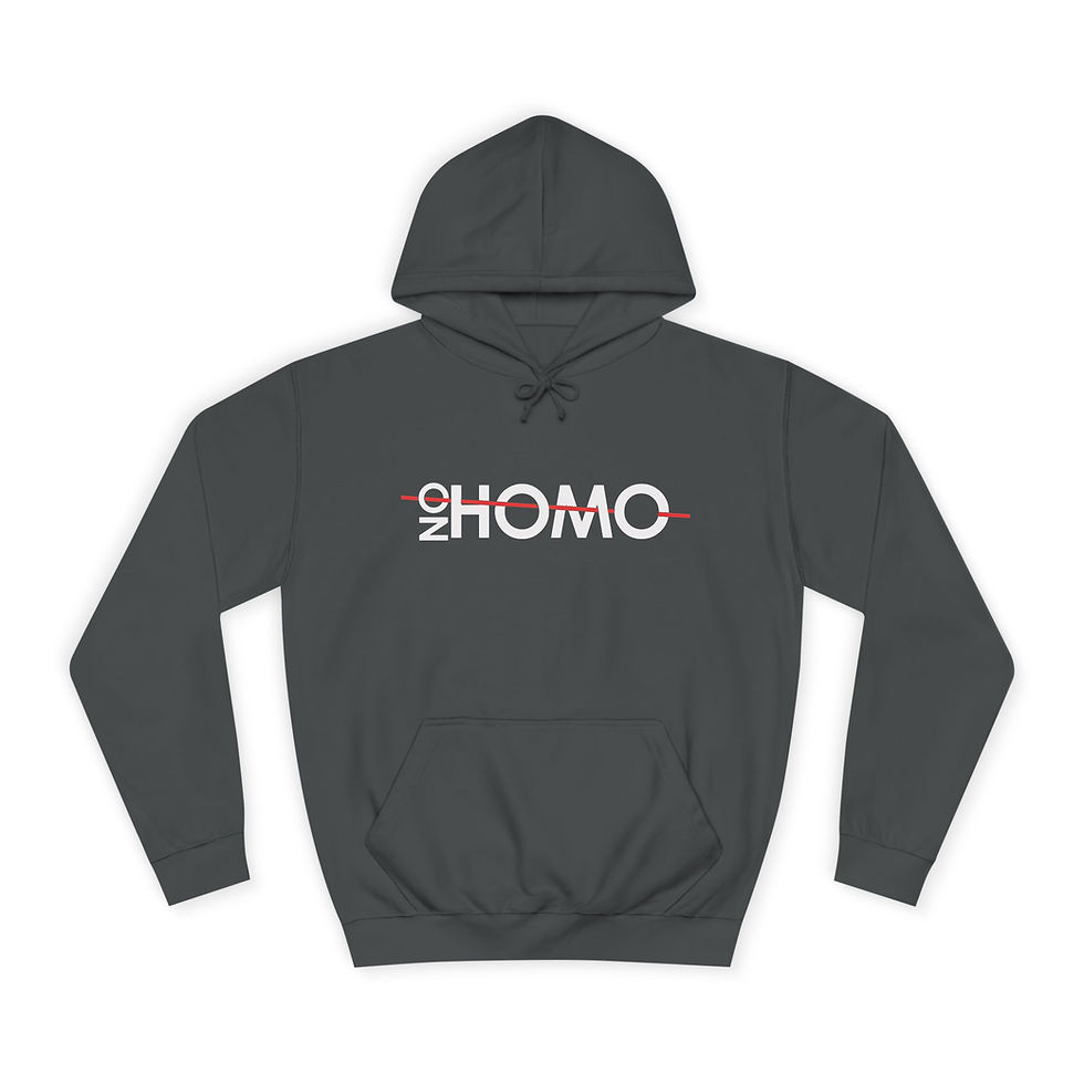 Thumbnail: NO HOMO Hoodie 