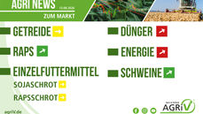 Aktuelle Marktnews