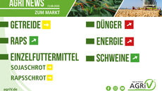 Aktuelle Marktnews