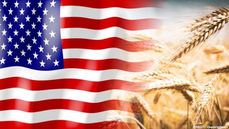 Iran-Krieg offenbart Düngemittel als Achillesferse