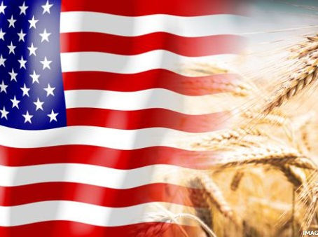 Iran-Krieg offenbart Düngemittel als Achillesferse