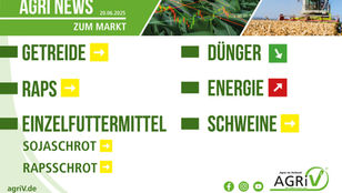 Aktuelle Marktnews
